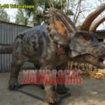 Animatronic Triceratops