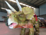 Animatronic Triceratops Ride