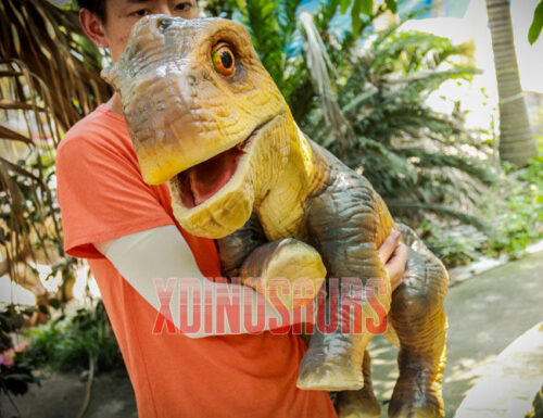 Armed Baby Brachiosaurus Prop