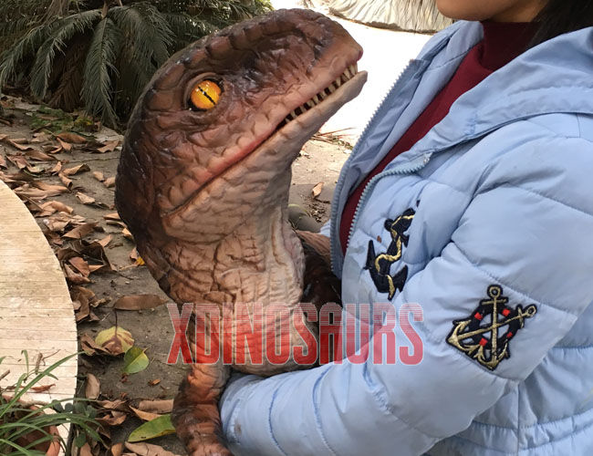 Baby Dinosaur Puppet Prop