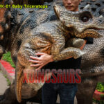 Baby Triceratops Puppet