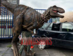 Customized Trex Prop