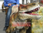 Fabricated Trex Ride