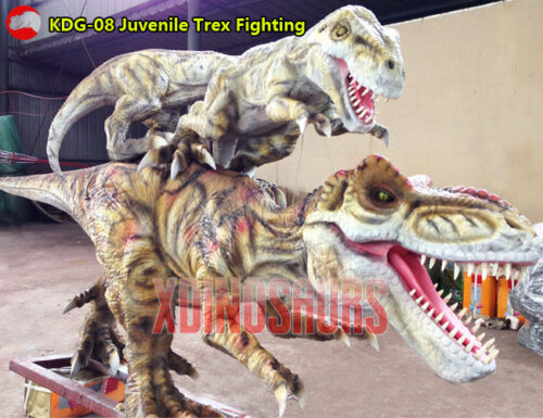 Juvenile Trex Fighting