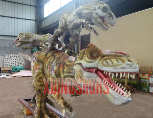 Juvenile Trex Fighting Replica