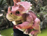 Juvenile Triceratops Puppet