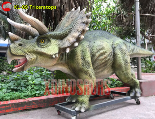 Life Size Triceratops Model