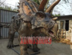 Lifelike Triceratops Model