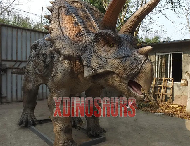 Animatronic Triceratops Exhibit