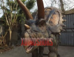 Lifelike Triceratops Model