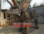 Lifelike Triceratops Model