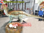 Maiasaura and Eggnest Model