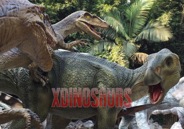 Raptors Hunt Iguanodon Model