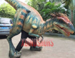 Real Velociraptor Prop