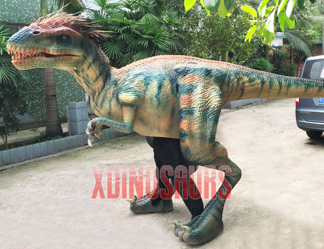 Real Velociraptor Prop