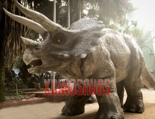 Realistic Triceratops Costume