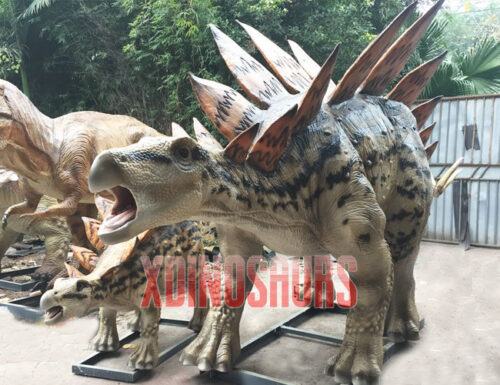 Stegosaurus Group Models