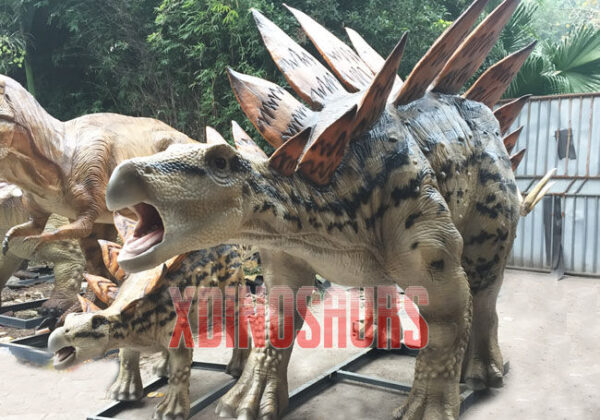 Stegosaurus Group Models