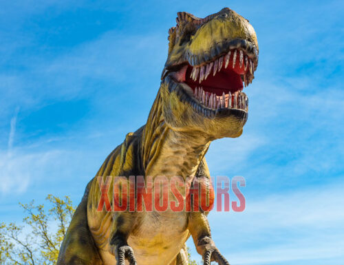 Animatronic T-Rex Exhibits
