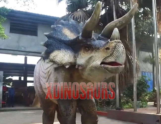 Life Size Triceratops Costume