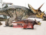 Triceratops Family Replica