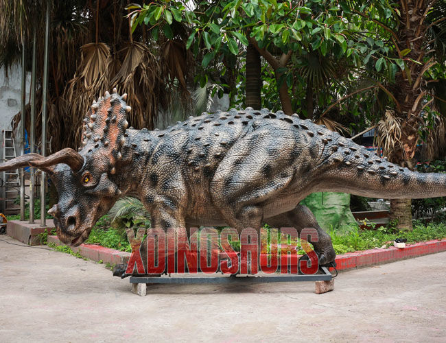 Animatronic Triceratops Exhibits