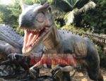 Allosaurus Model