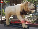 Animatronic Lion