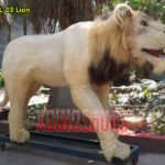 Animatronic Lion