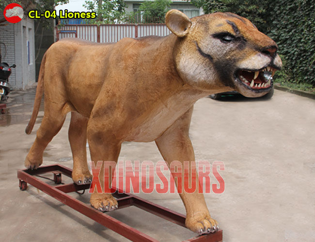 Female Lion Model