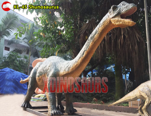 Animatronic Shunosaurus