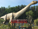 Argentinosaurus Replica