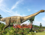 Argentinosaurus Replica