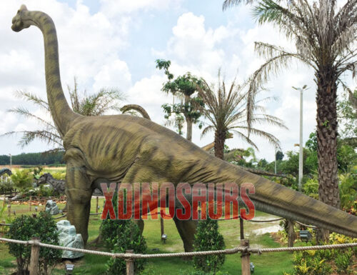 Big Brachiosaurus Exhibit