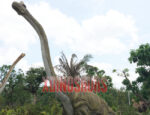 Big Brachiosaurus Exhibit