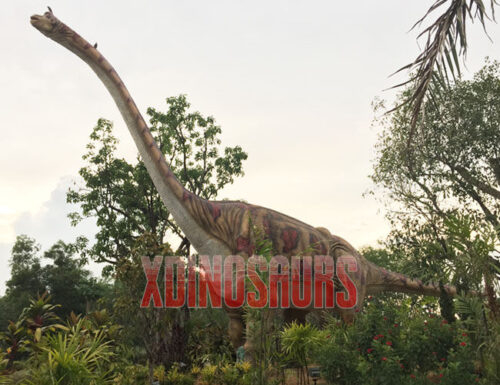 Big Brachiosaurus Model