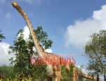 Big Brachiosaurus Model 3