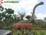 Big Brachiosaurus Model