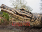 Big Sarcosuchus Model 2