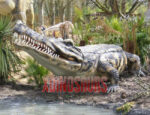 Big Sarcosuchus Model