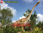 Brachiosaurus Replica KL16