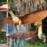 Custom Pterosaur Model