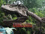 Custom Trex Skeleton Replica