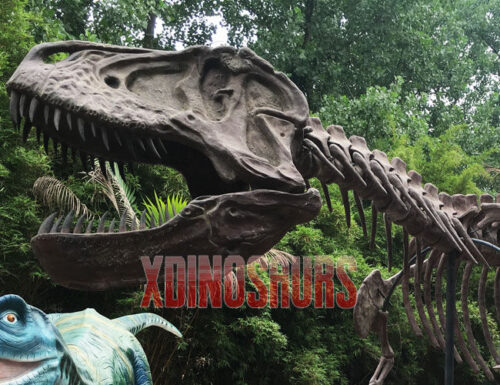 Custom Trex Skeleton Replica