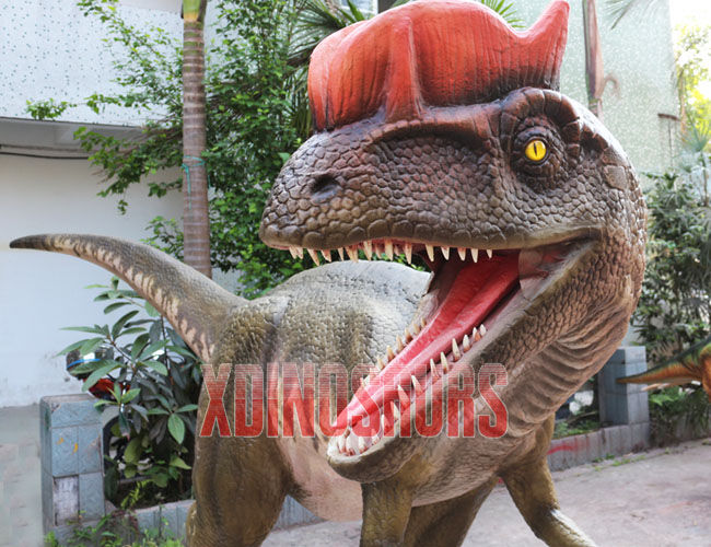 Real Dilophosaurus Model