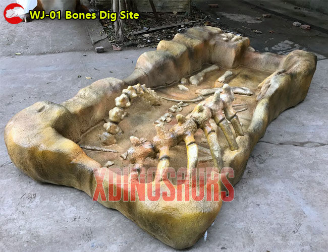 Dinosaur Bones Dig Site