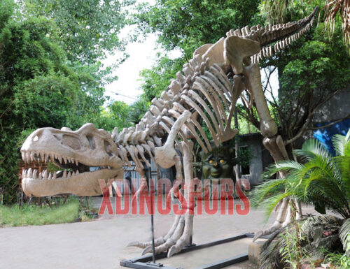 Fiberglass T-Rex Fossil