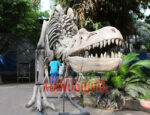 Fiberglass T-Rex Fossil