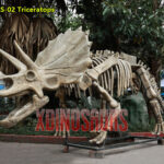 Fiberglass Triceratops Fossil