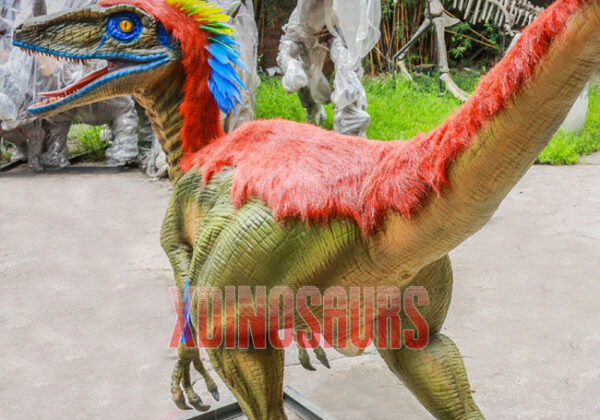 Fine Raptor Model